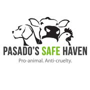 Pasado's Safe Haven logo