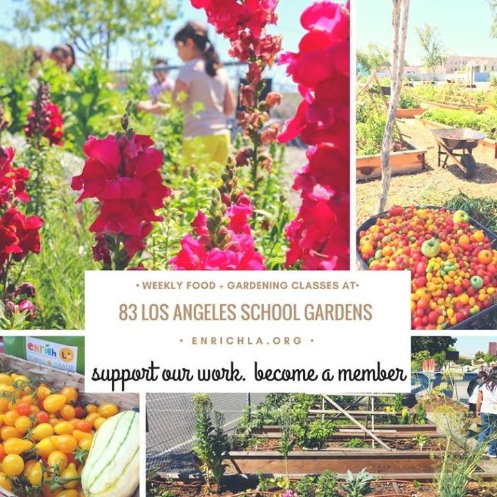 EnrichLA logo
