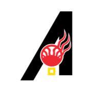 AISES logo
