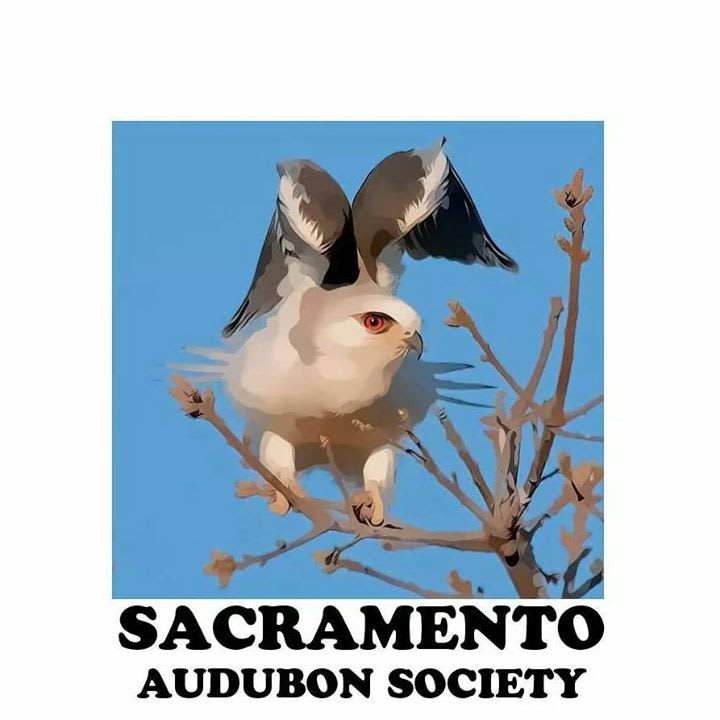 Sacramento Audubon Society logo