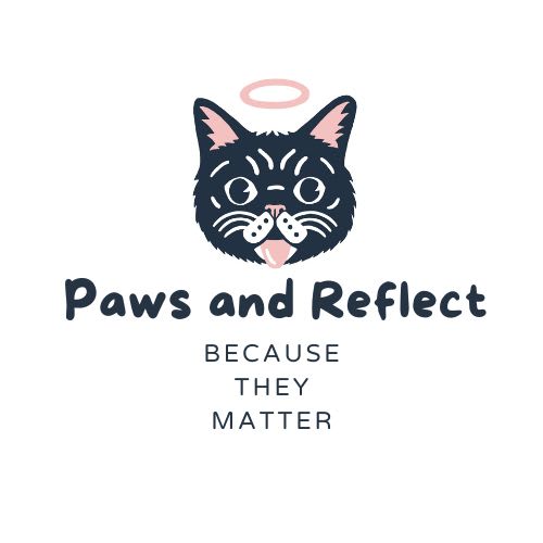 Because They Matter: Lil BUB's Paws and Reflect Initiative logo