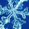User or nonprofit avatar