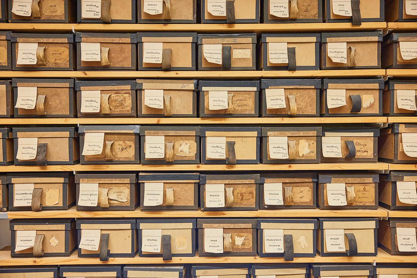Boxes containing slips for words beginning with M are stored in the dictionary's premises in Munich.