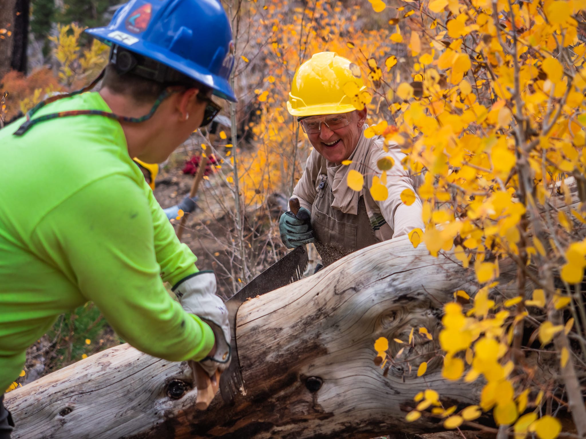 Clearing trees to ensure access in Mount Moriah Wilderness