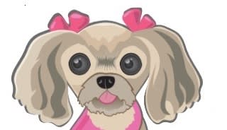 Rainbow Bridge Hospice Rescue