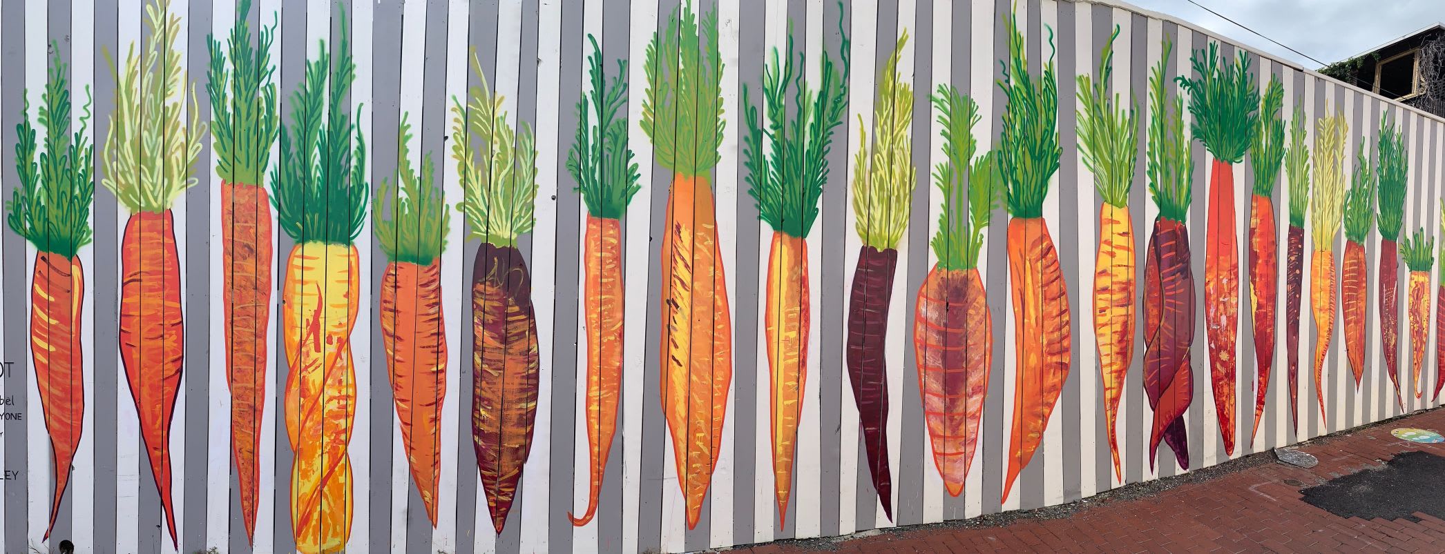 carrots painted on a wall