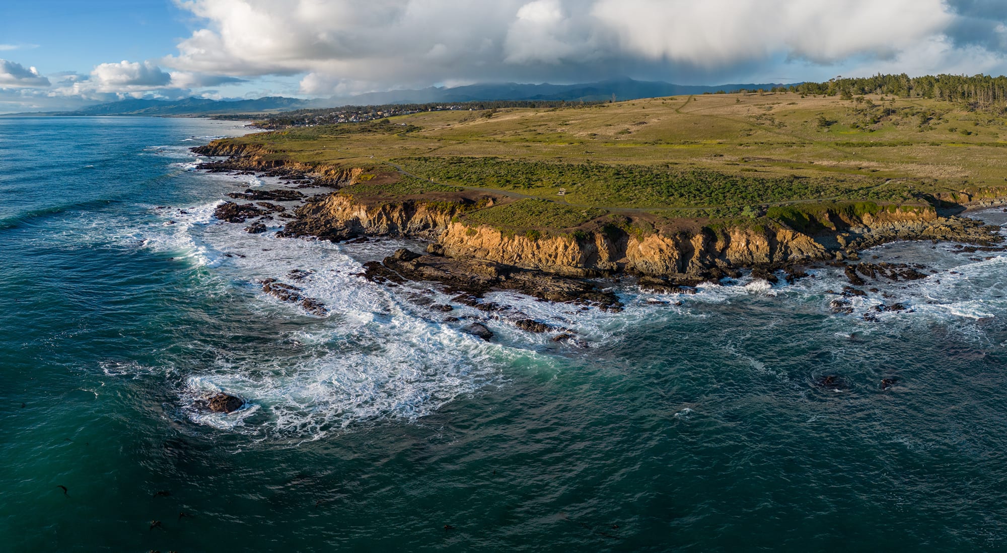 Aerial view of Fiscalini Ranch Preserve showing cliffs above a rocky shore