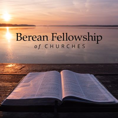 Berean Fellowship Of Churches Inc logo