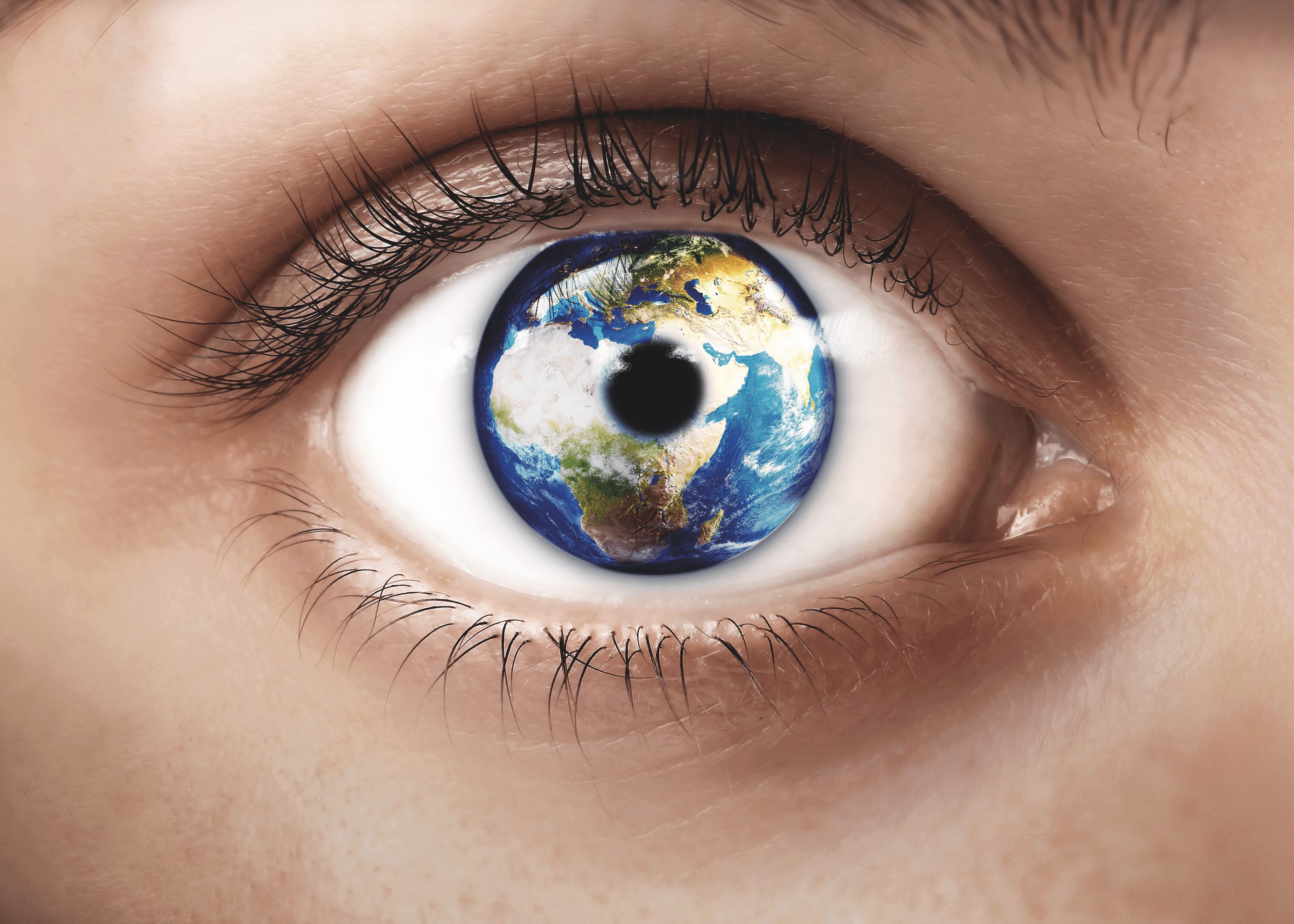 The Story of a New World