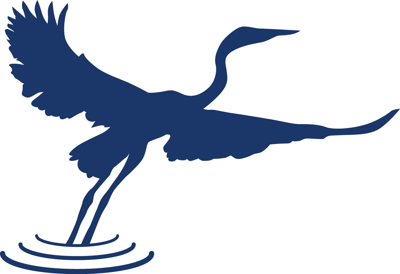 Egret 