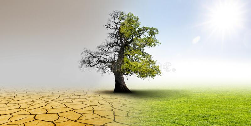 Tackling Climate Change logo