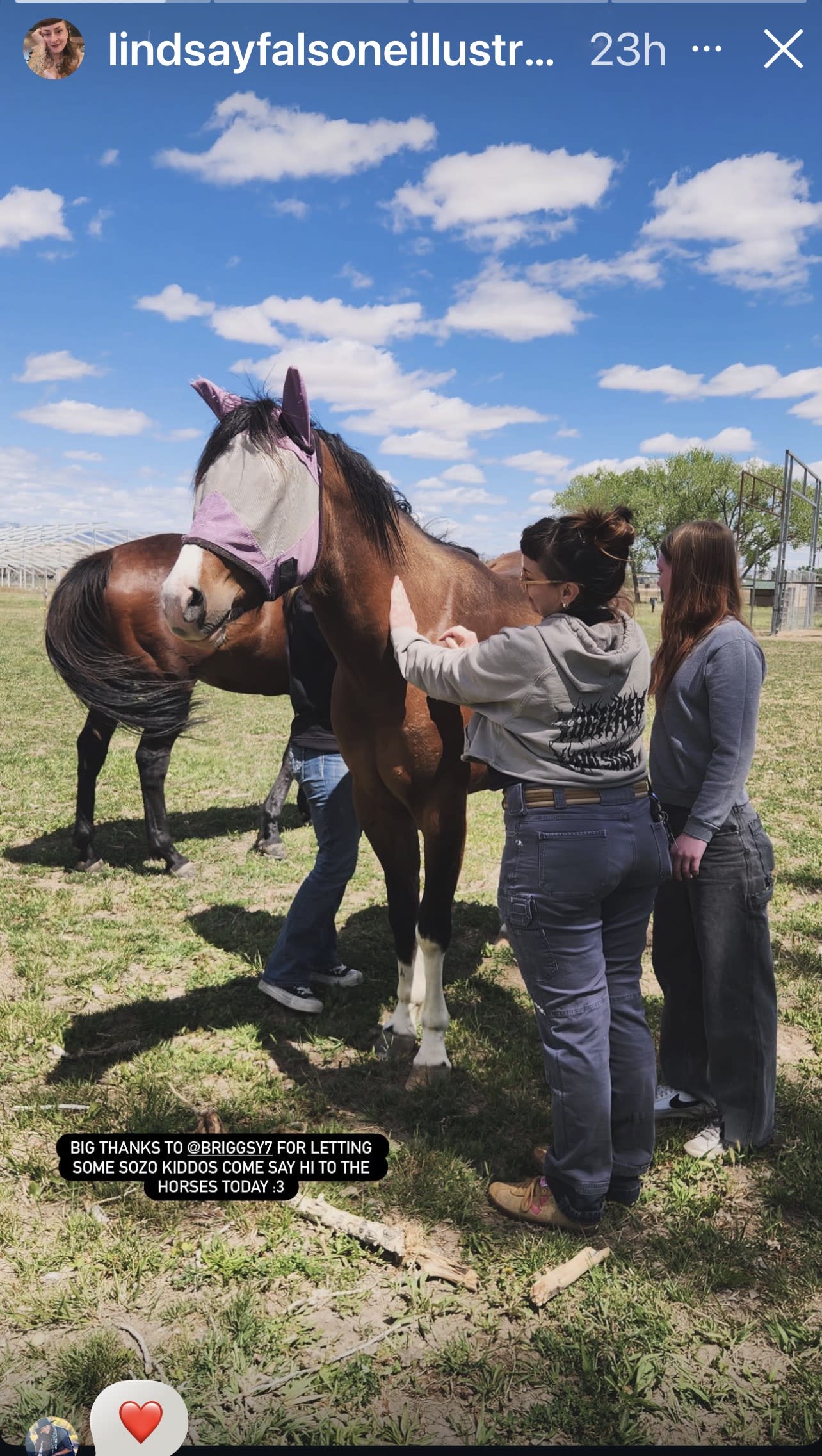 Field trip to visit the horses with our behavioral support paraprofessionals