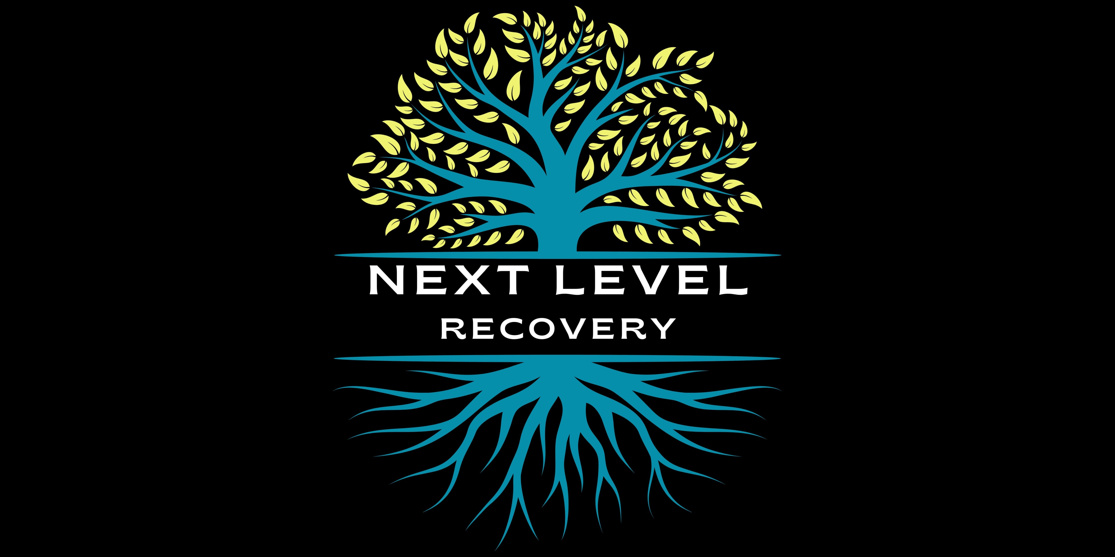 Next Level Recovery logo