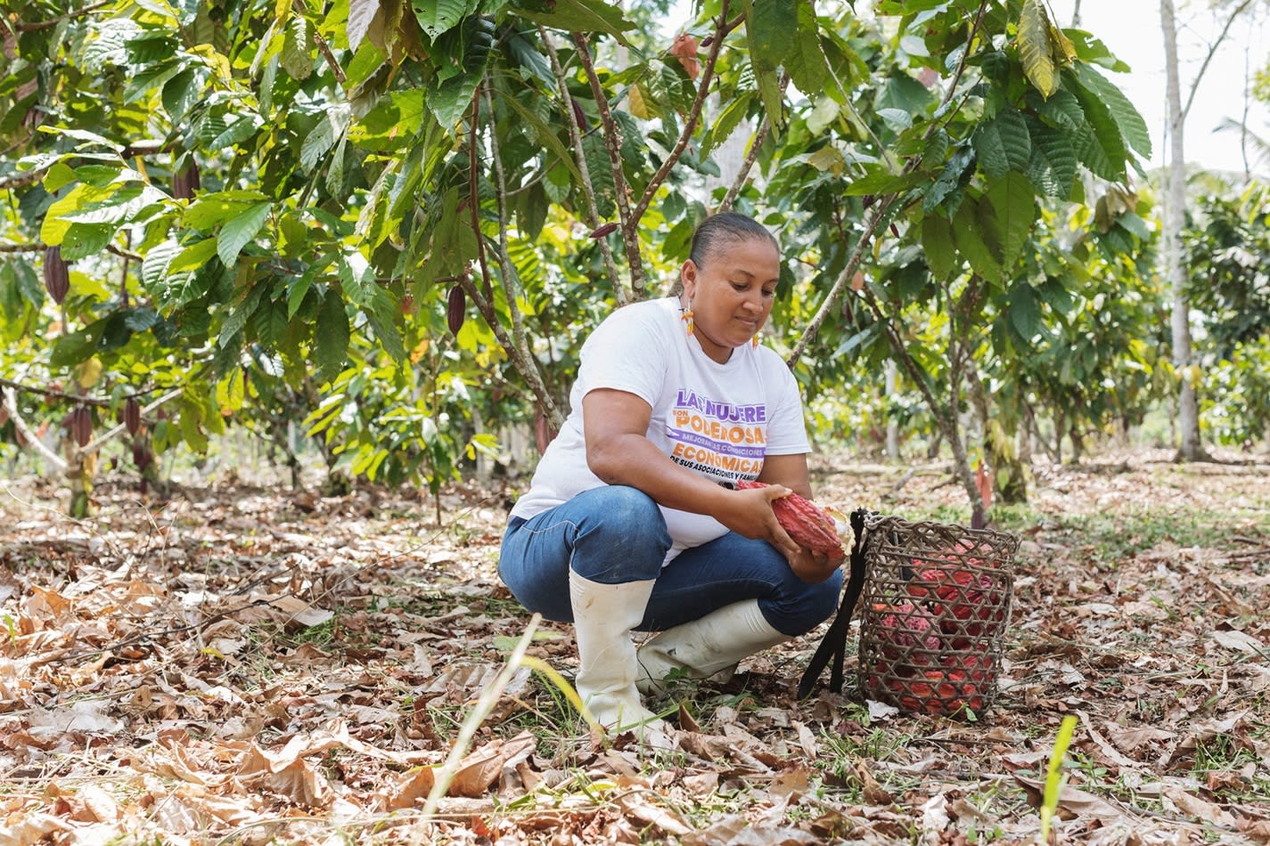 Rural woman carefully opens a cacao pod in the heart of her plantation — a powerful symbol of dignified labor and empowerment. Her T-shirt proudly highlights the vital role of women in the rural economy.