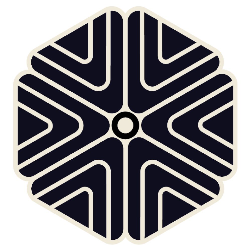 Amber Initiative Foundation Inc logo