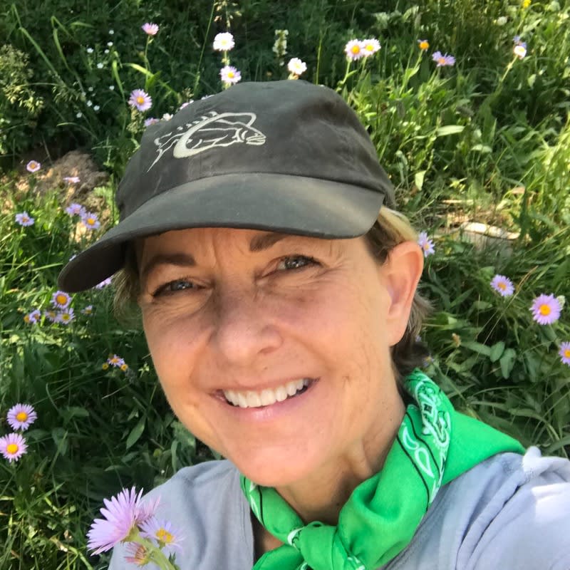 User or nonprofit avatar