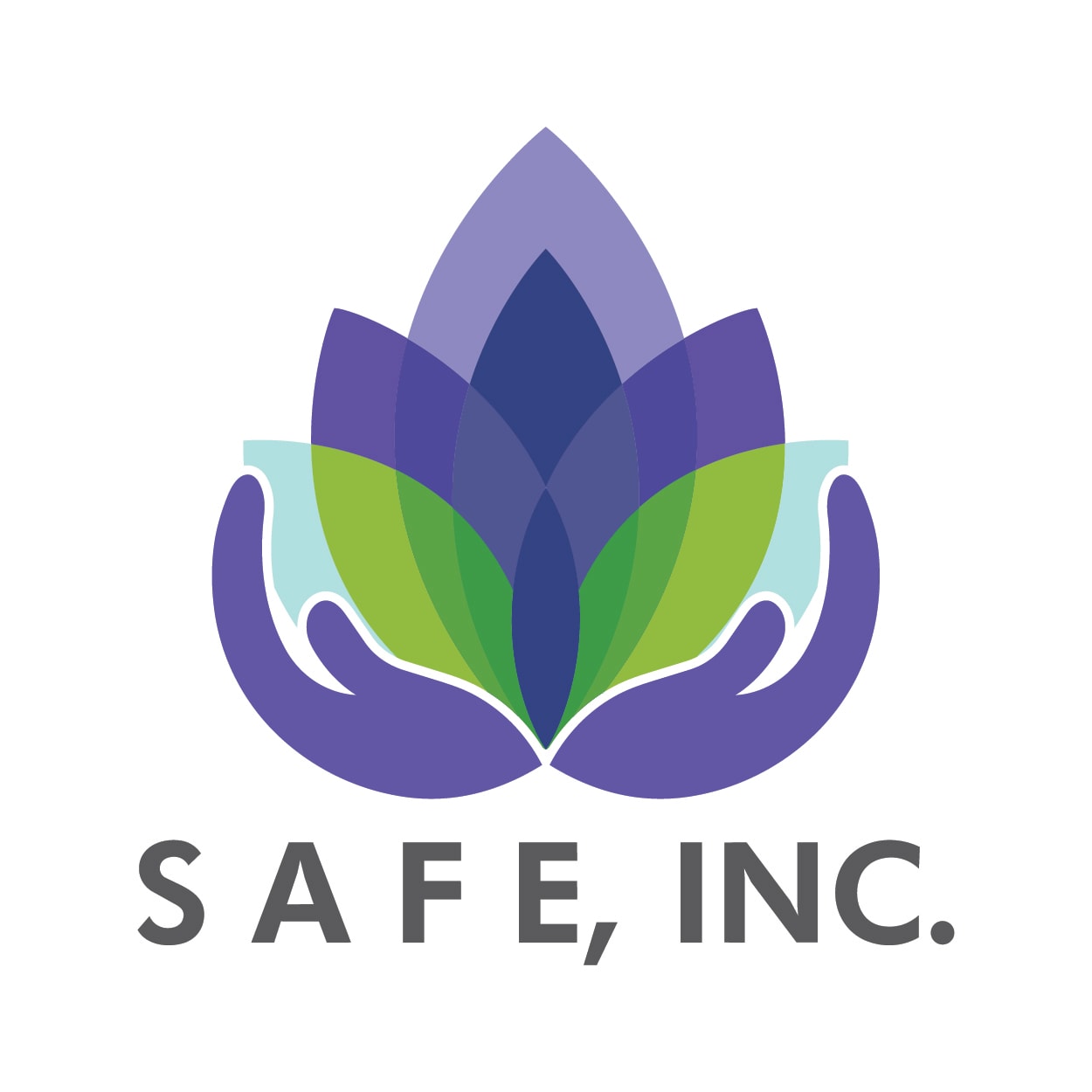 S.A.F.E., Inc. logo
