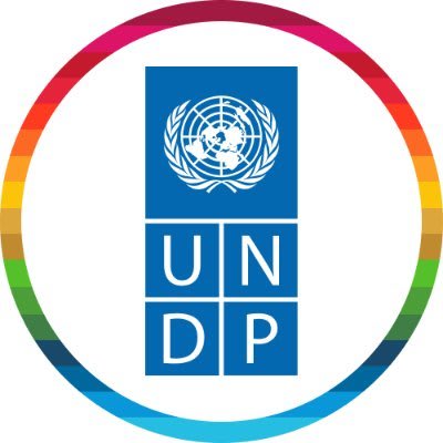 United Nations Development Programme (UNDP/PNUD) logo