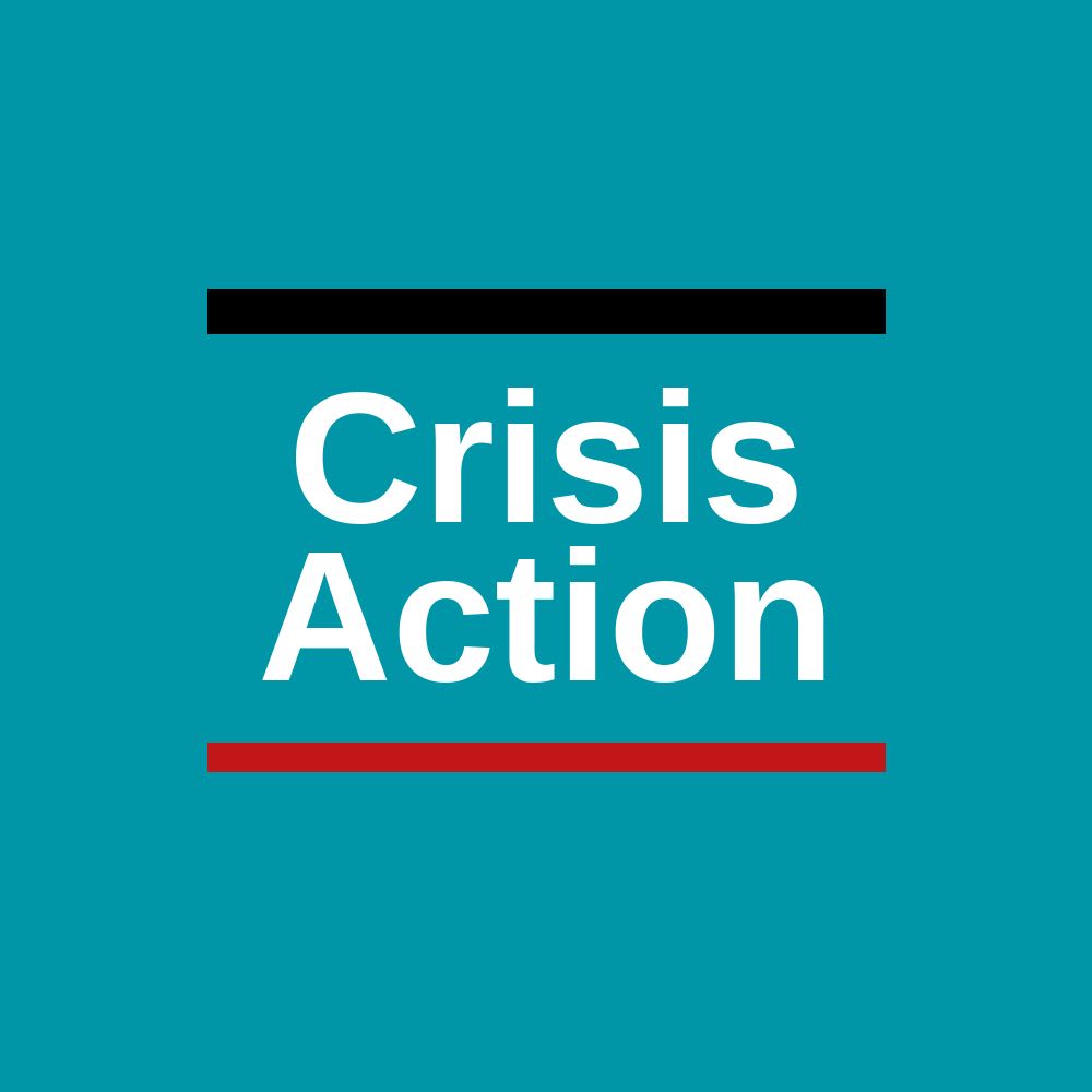 Crisis Action logo