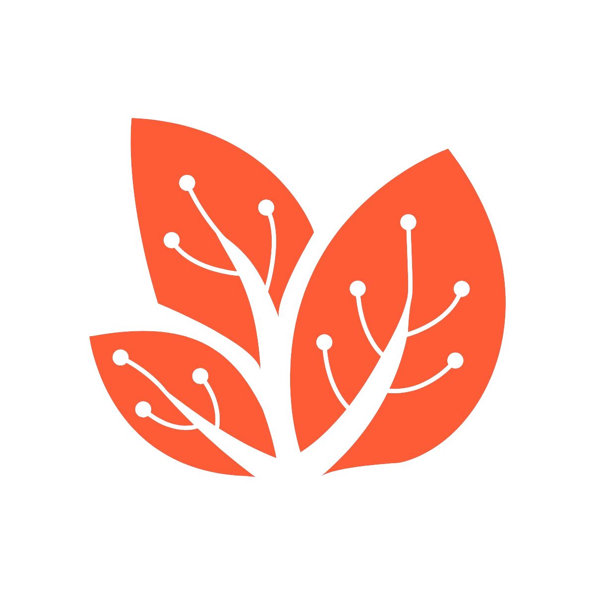 dev46 Girls Tech Academy logo