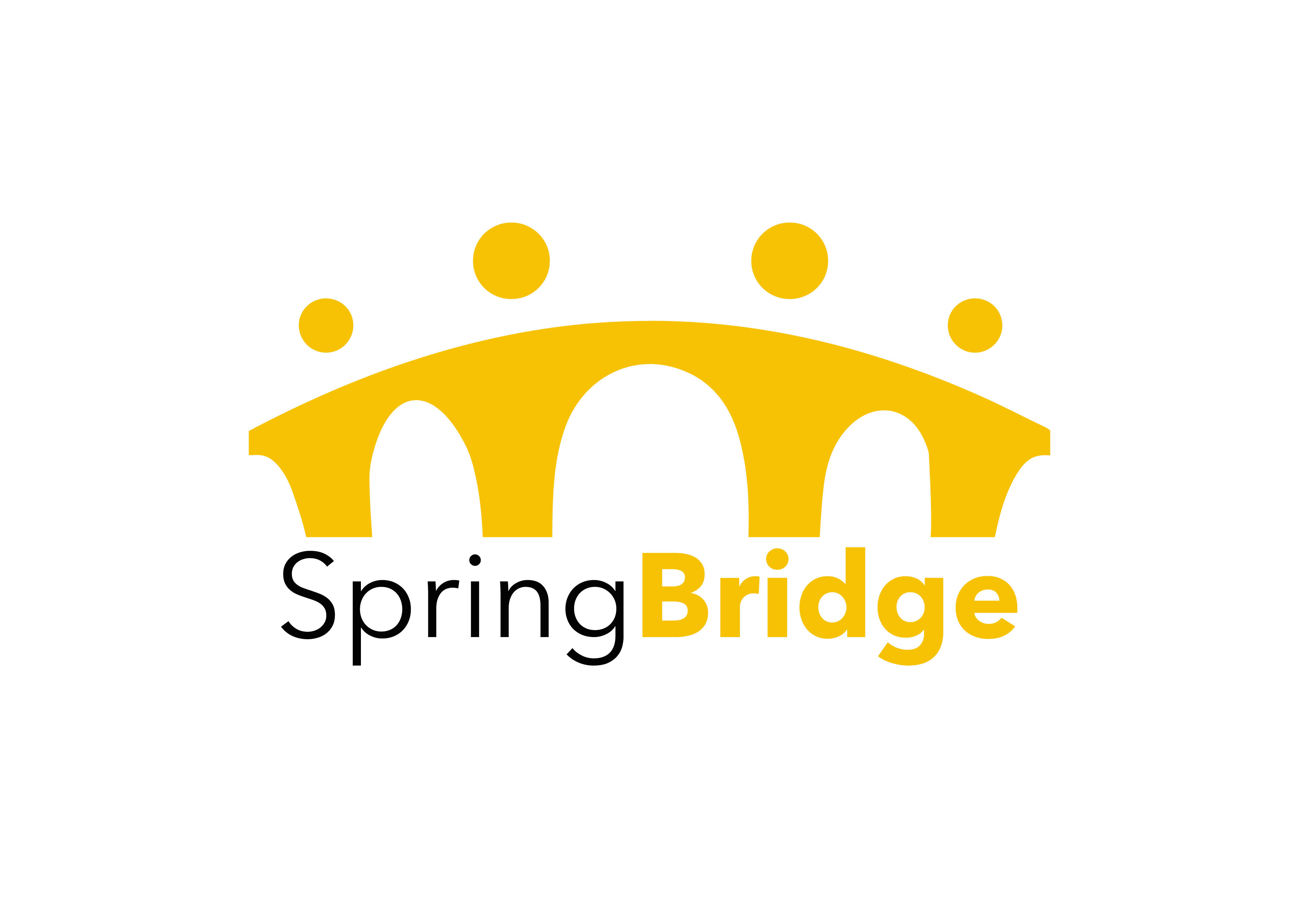 SpringBridge Inc logo