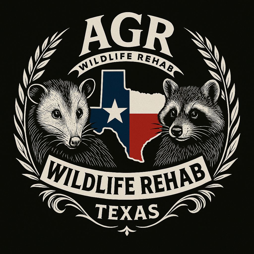 AGR Wildlife Rehab cover image featuring native Texas wildlife, including a raccoon and opossum, with a Texas-themed wildlife rehabilitation logo.