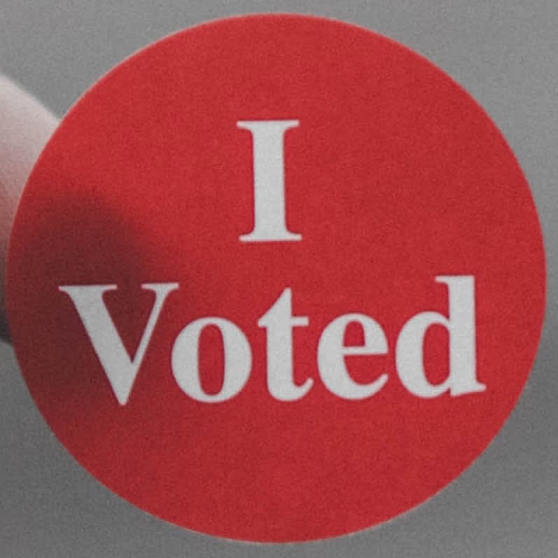 Everybody votes! logo