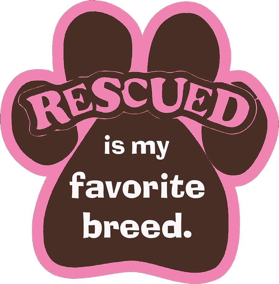 Yorkie Rescue Houston logo