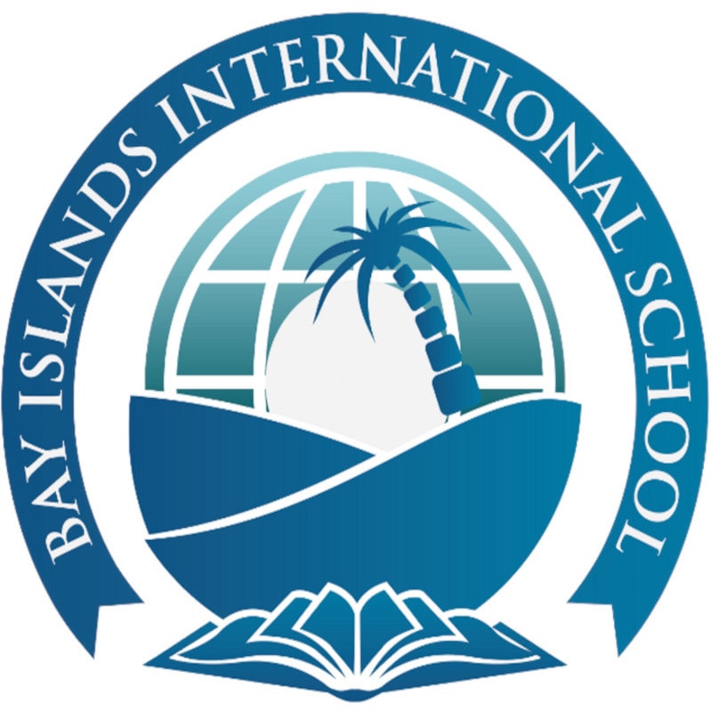BIIS logo picture