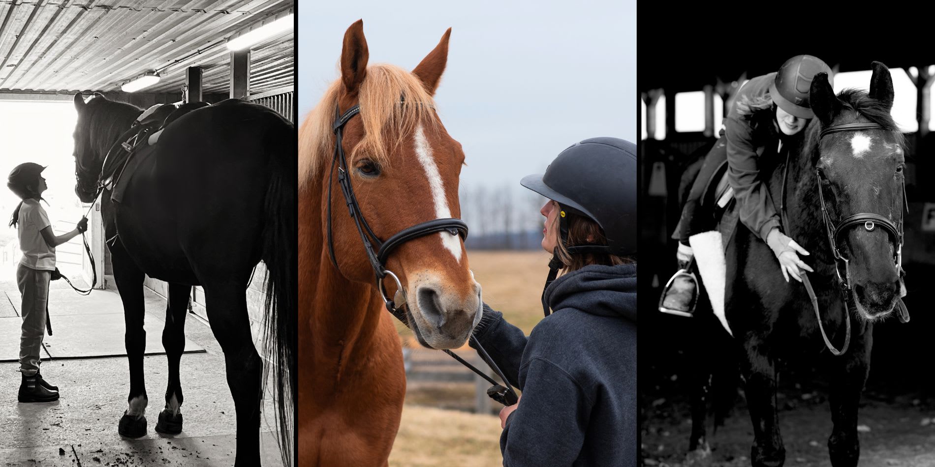 Tuff Therapeutic Riding Foundation - supporting at-risk youth mental health through equine therapy