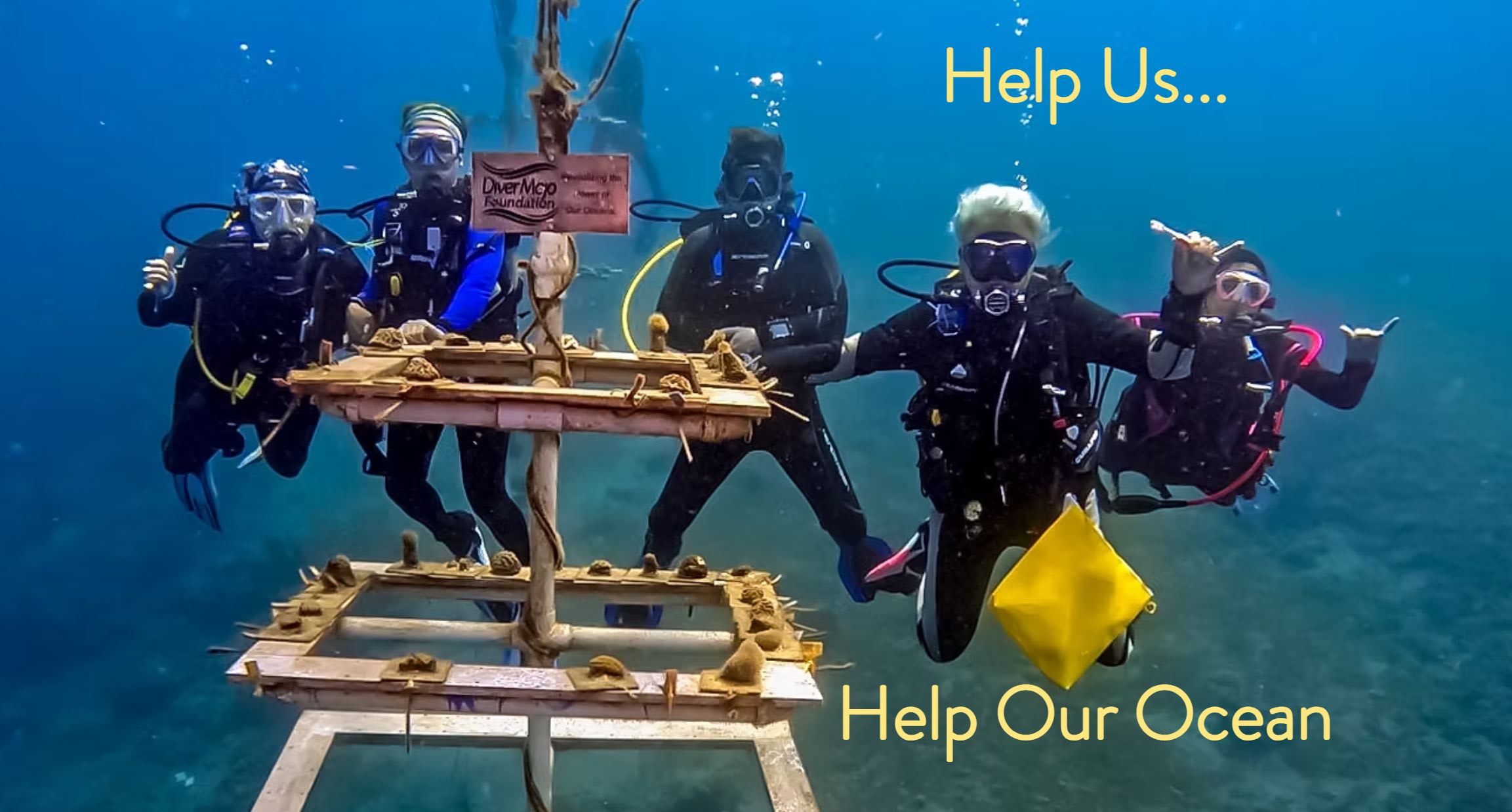 Help Us Help Our Ocean