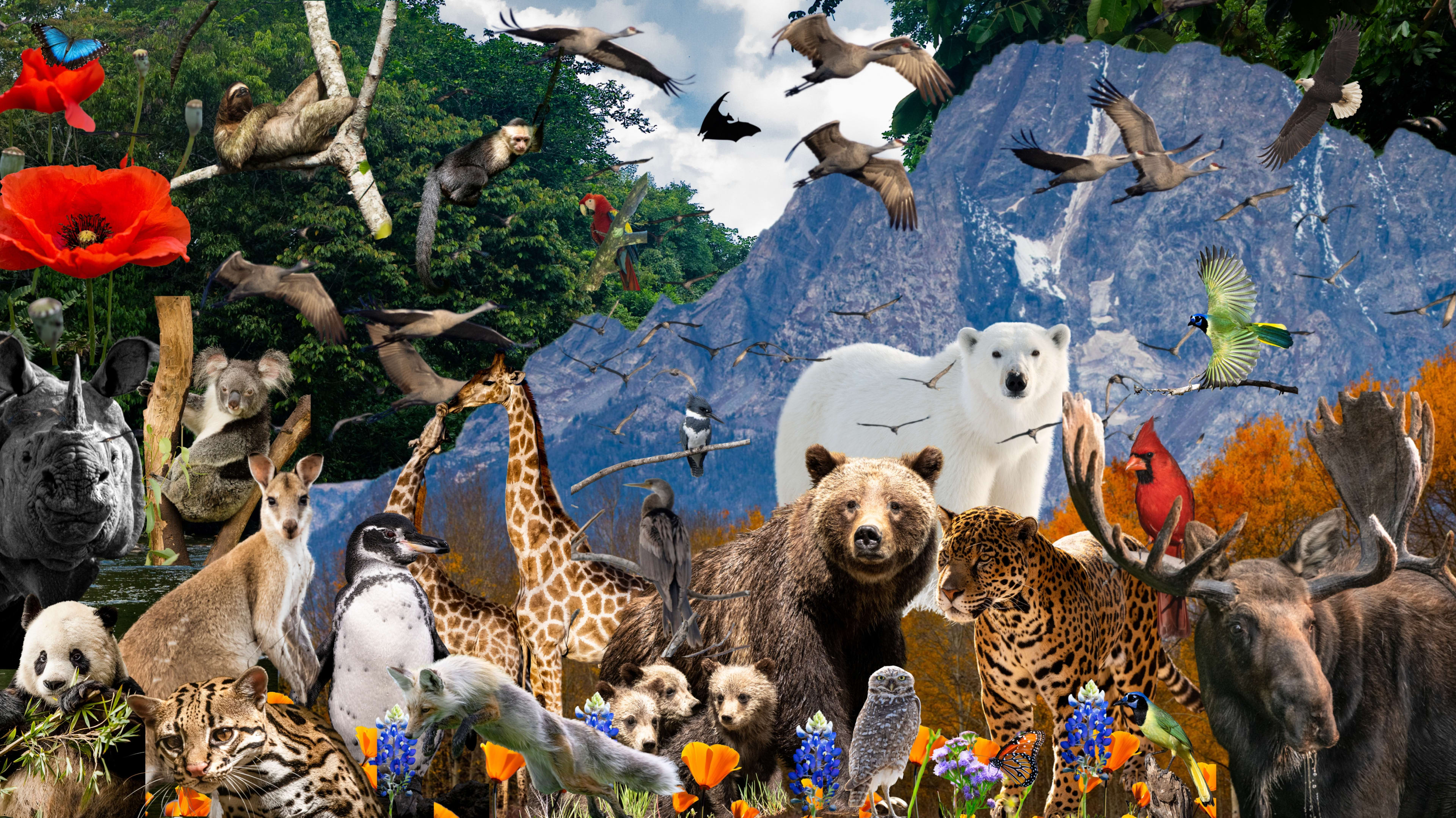 PC: Jennifer Leigh Warner @experiencewildlife