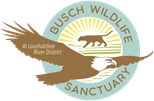 The Busch Wildlife Sanctuary logo
