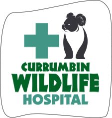 Currumbin Wildlife Hospital logo