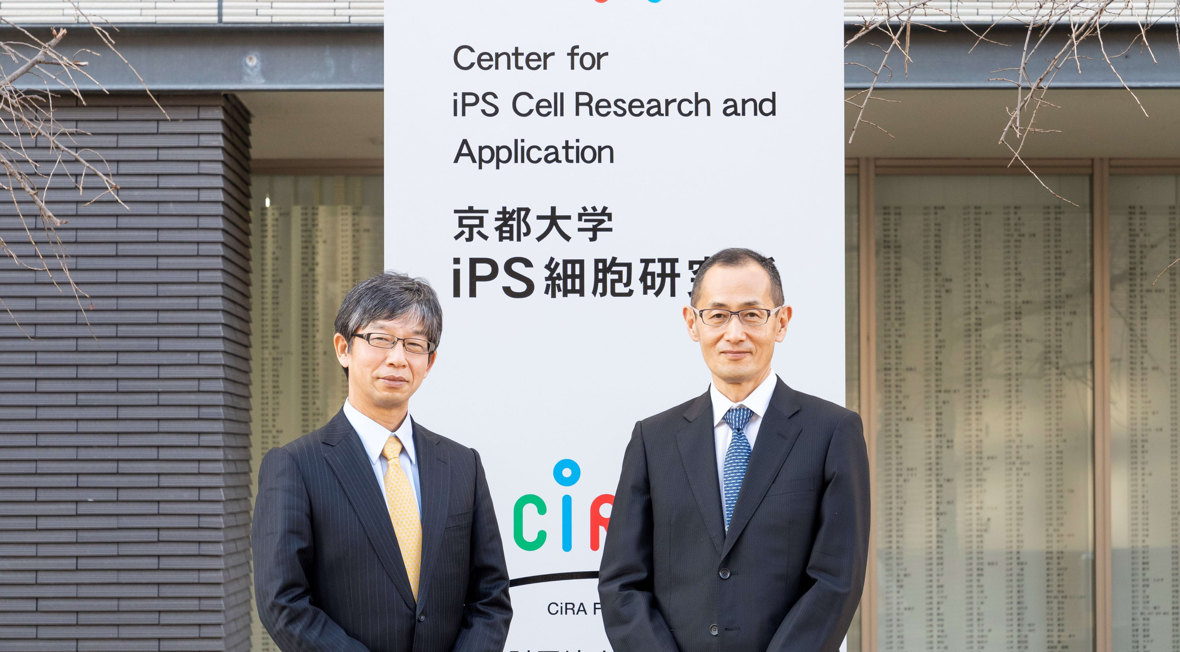 学位記入れ　Kyoto university 2233267511.jpg?1737638587