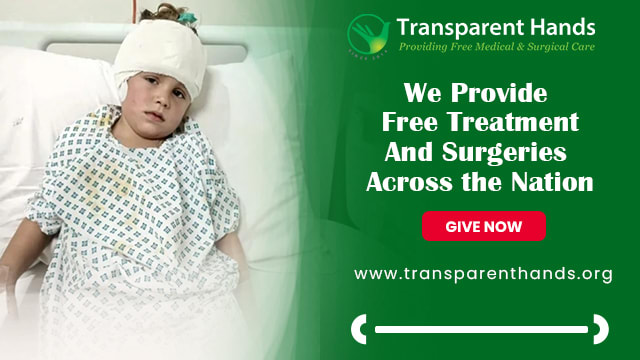 Transparent Hands Logo