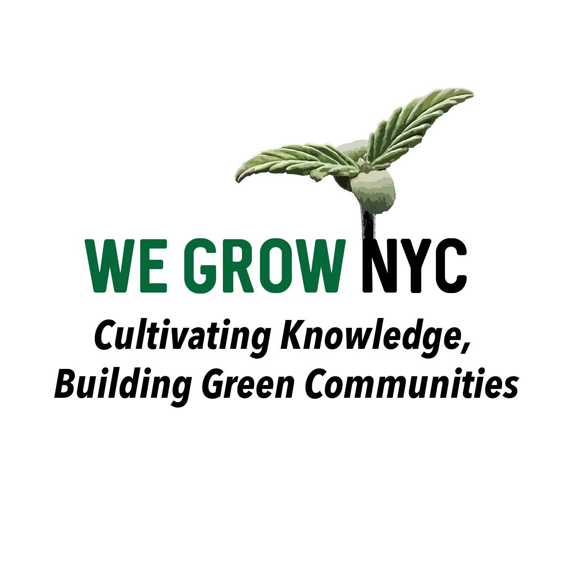 We Grow NYC: Cultivating knowledge, building green communities