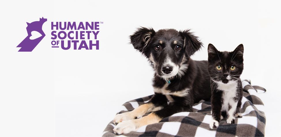 Black tri-color mixed breed puppy lies next to a standing black and white kitten on a black and white plaid blanket with a white background and purple Humane Society of Utah logo in top left corner.