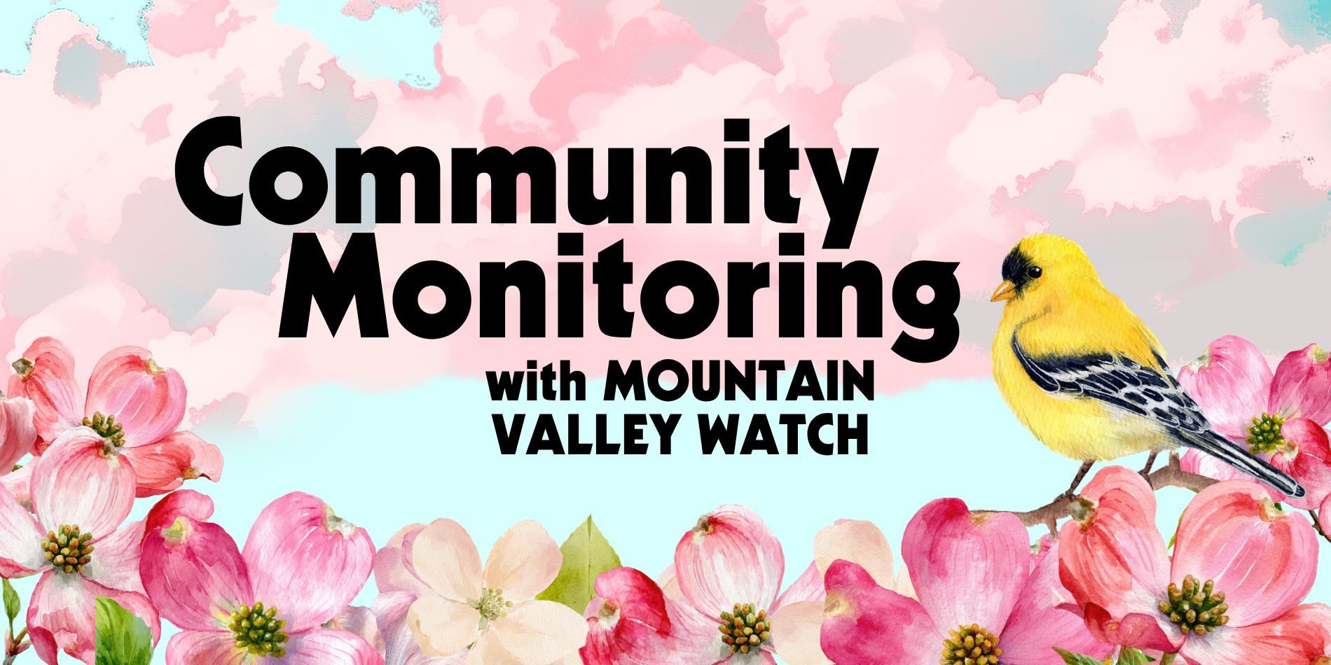 Community Monitoring with Mountain Valley Watch. A yellow bird sits on tree blossoms against a background of clouds.