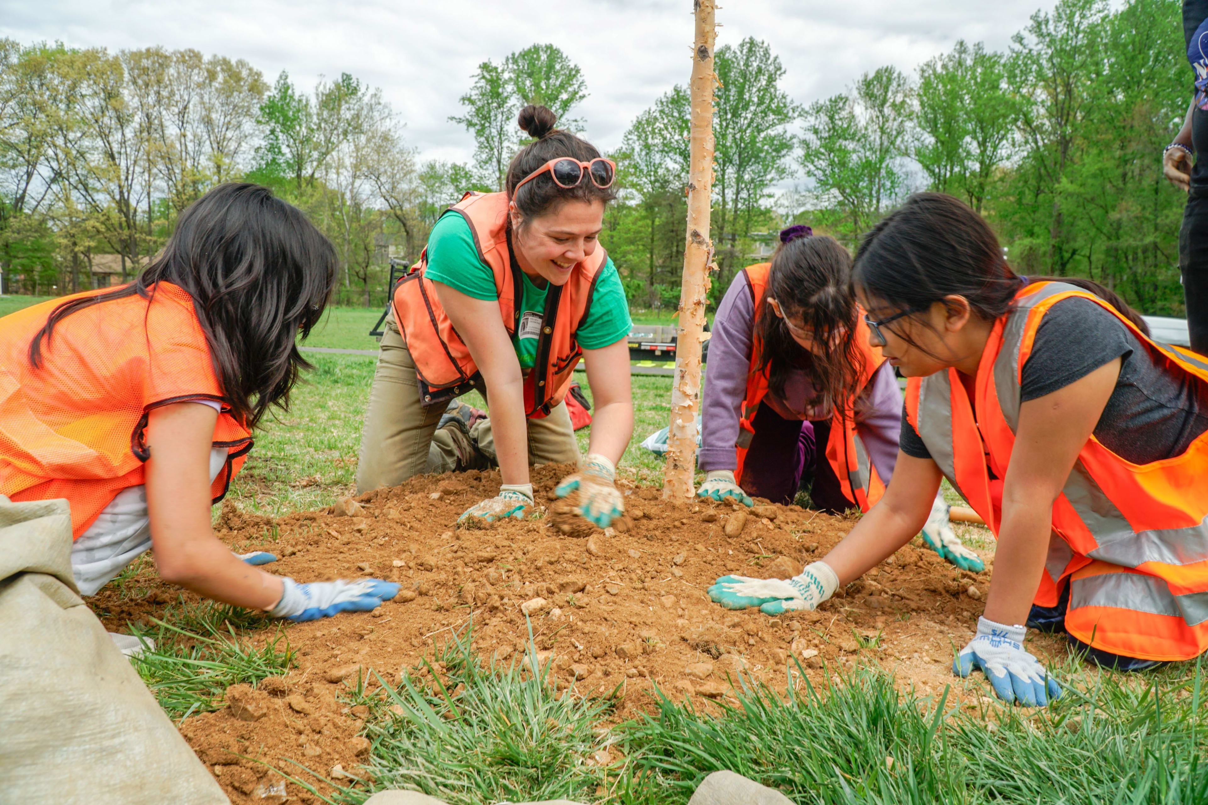 Photo of adult and students planting a tree
