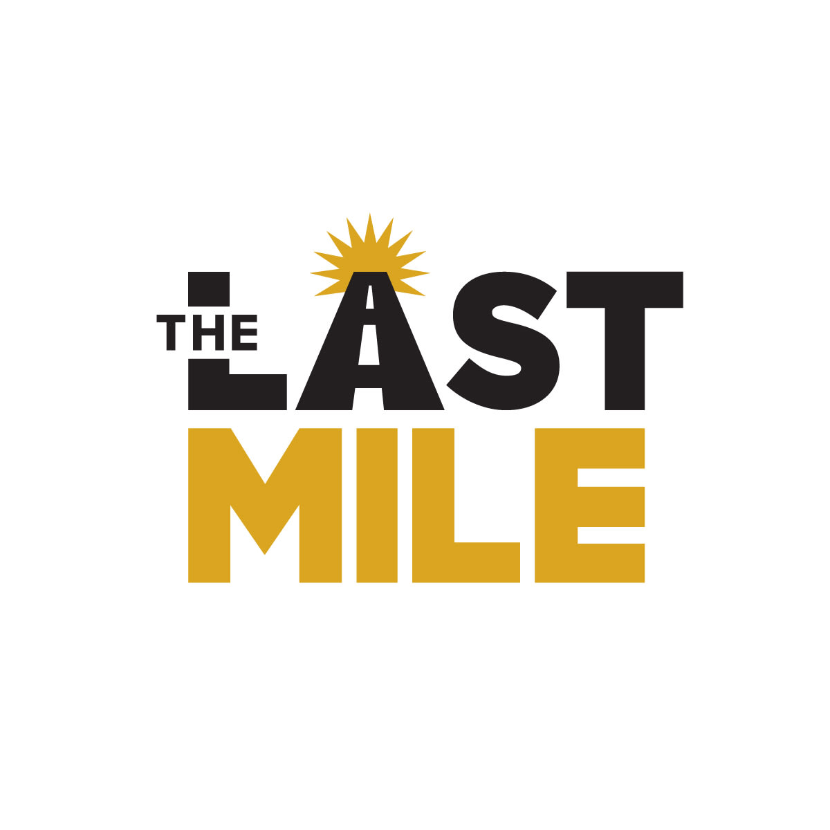 Turn 2U, Inc dba The Last Mile logo