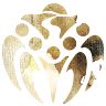 User or nonprofit avatar
