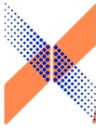 Congregation Action Network logo