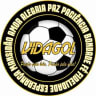 VidaGol logo
