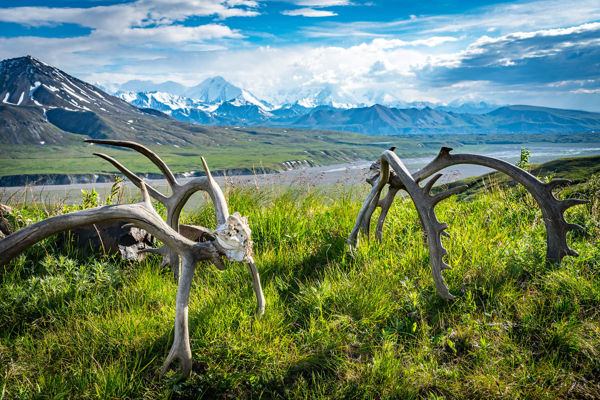 Denali National Park and Preserve, Alaska