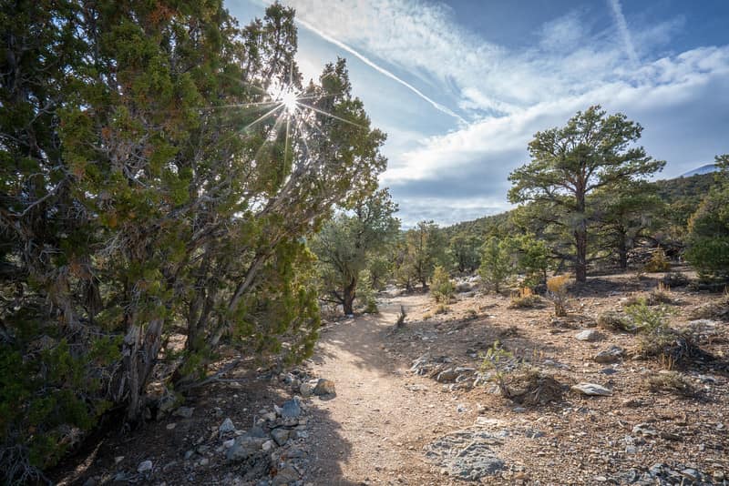 Landscape in Great Basin National Park