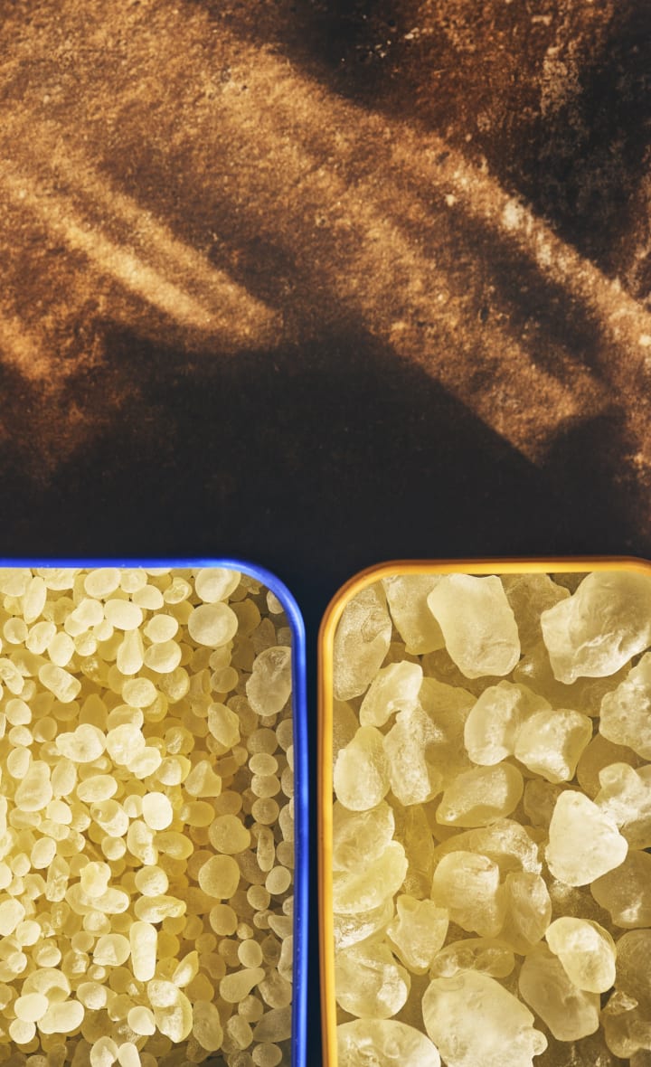 Mastic resin tears on the left, a stick of chewing gum on the right.