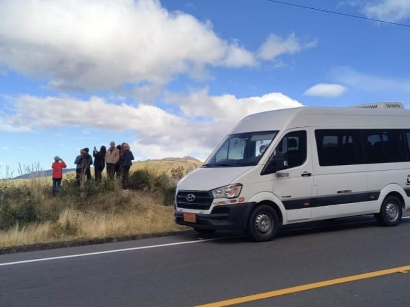 Grupo de viajeros saludando desde una van de Dacartours