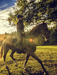 Visuel activités-terre-equitation.jpg