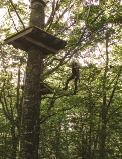 activités-parcours aventure.jpg